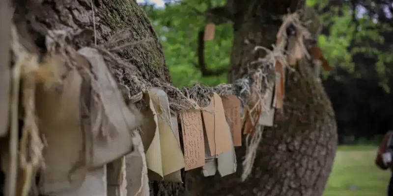 Meegenomen door de wind